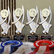 Tulip Cup 2013, NL (int. B-Show)